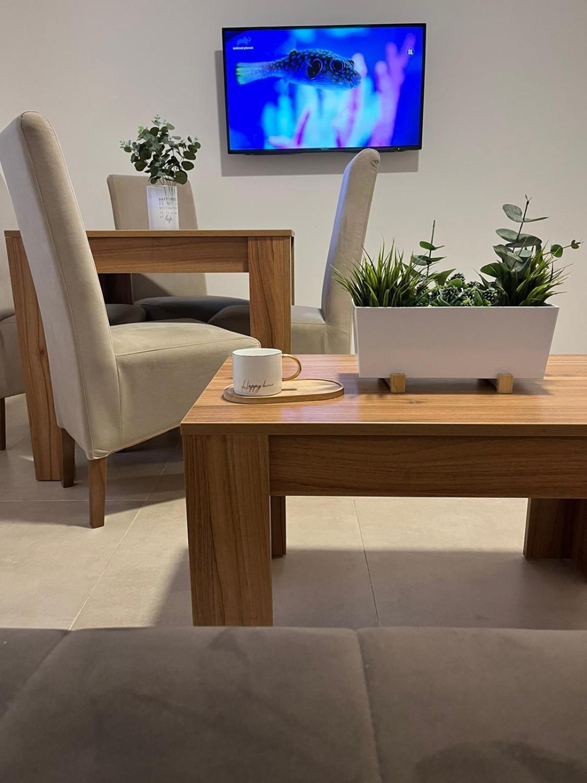Apartmani Tesla Soko Banja Rum bild